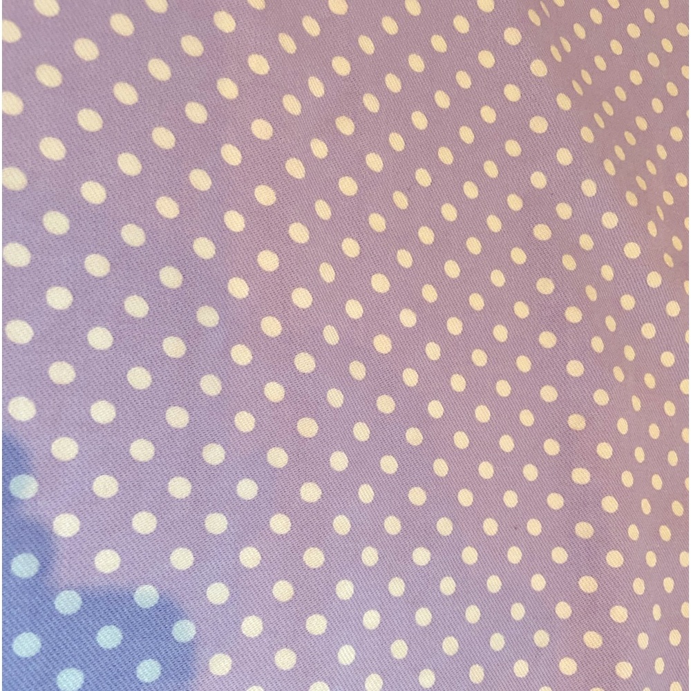 Set of 2 Pottery Barn Kids- blackout curtains for one window.